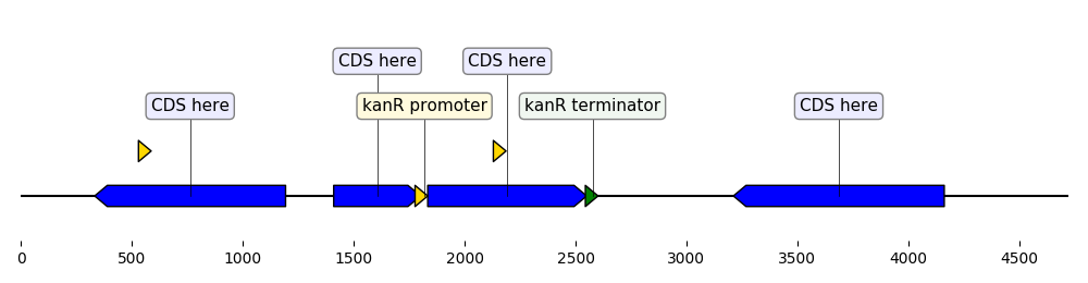 ../_images/custom_biopython_translator1.png