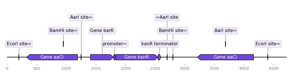 from_genbank