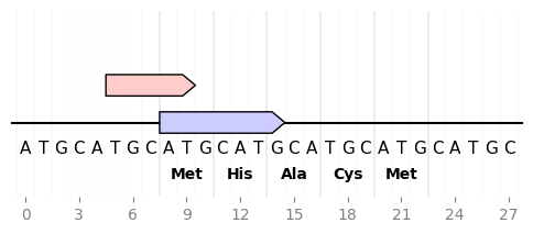 sequence_and_translation