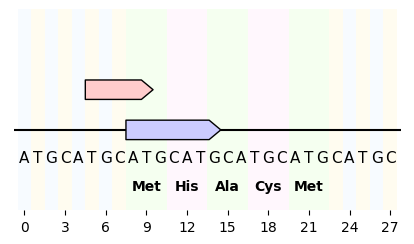 ../_images/sequence_and_translation1.png